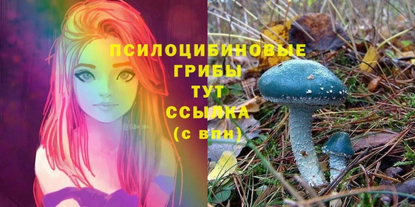 мет Абдулино