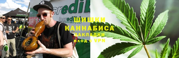 бошки Осинники