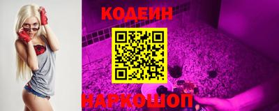apvp Кунгур