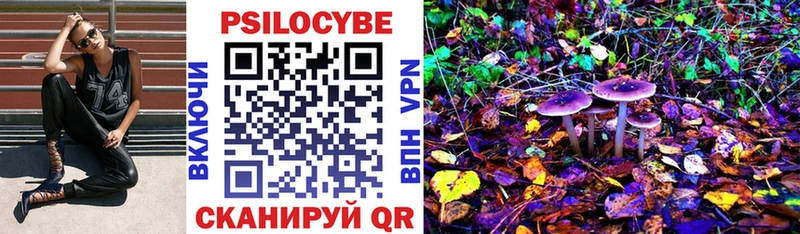 MEGA ссылки  Урус-Мартан  Псилоцибиновые грибы Psilocybine cubensis 