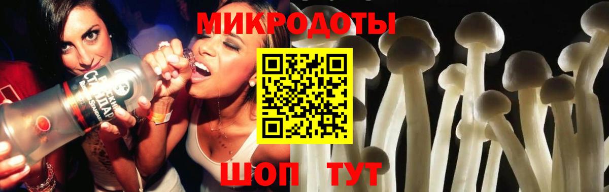 Псилоцибиновые грибы Psilocybe Урус-Мартан